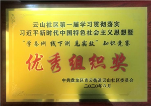 优秀组织奖