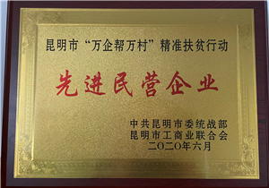 先进民营企业